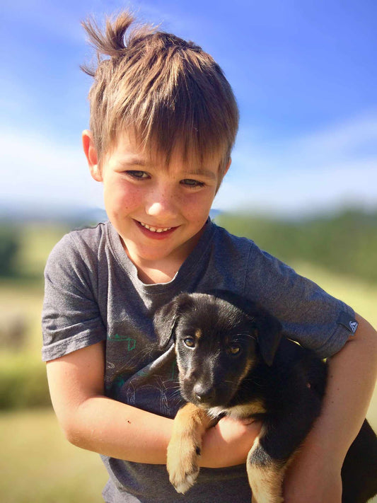 Puppy or Pet Dog First Aid Kit