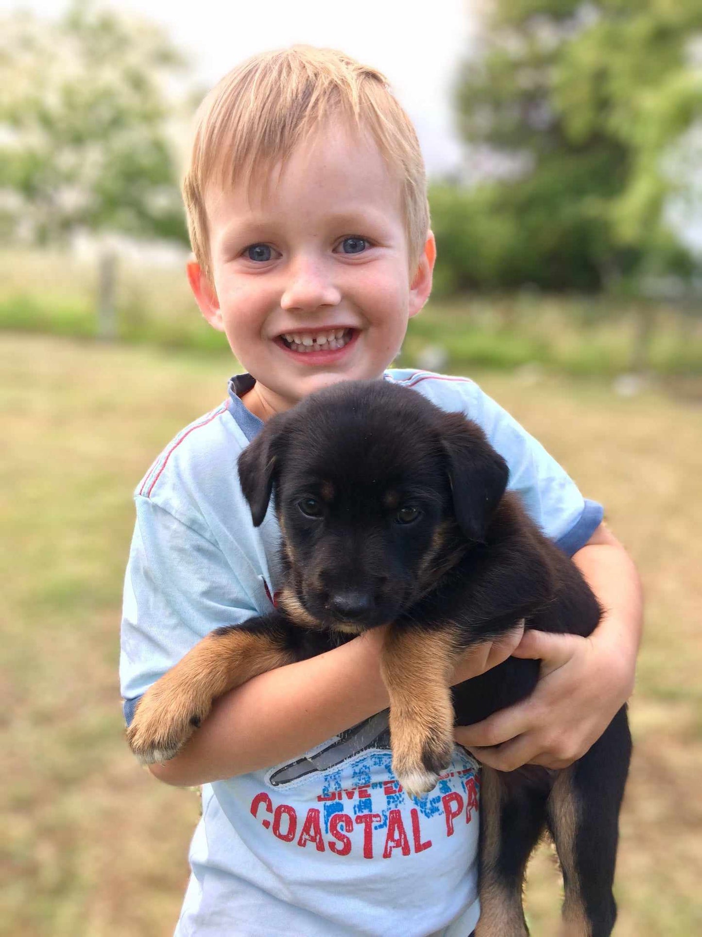 Puppy or Pet Dog First Aid Kit