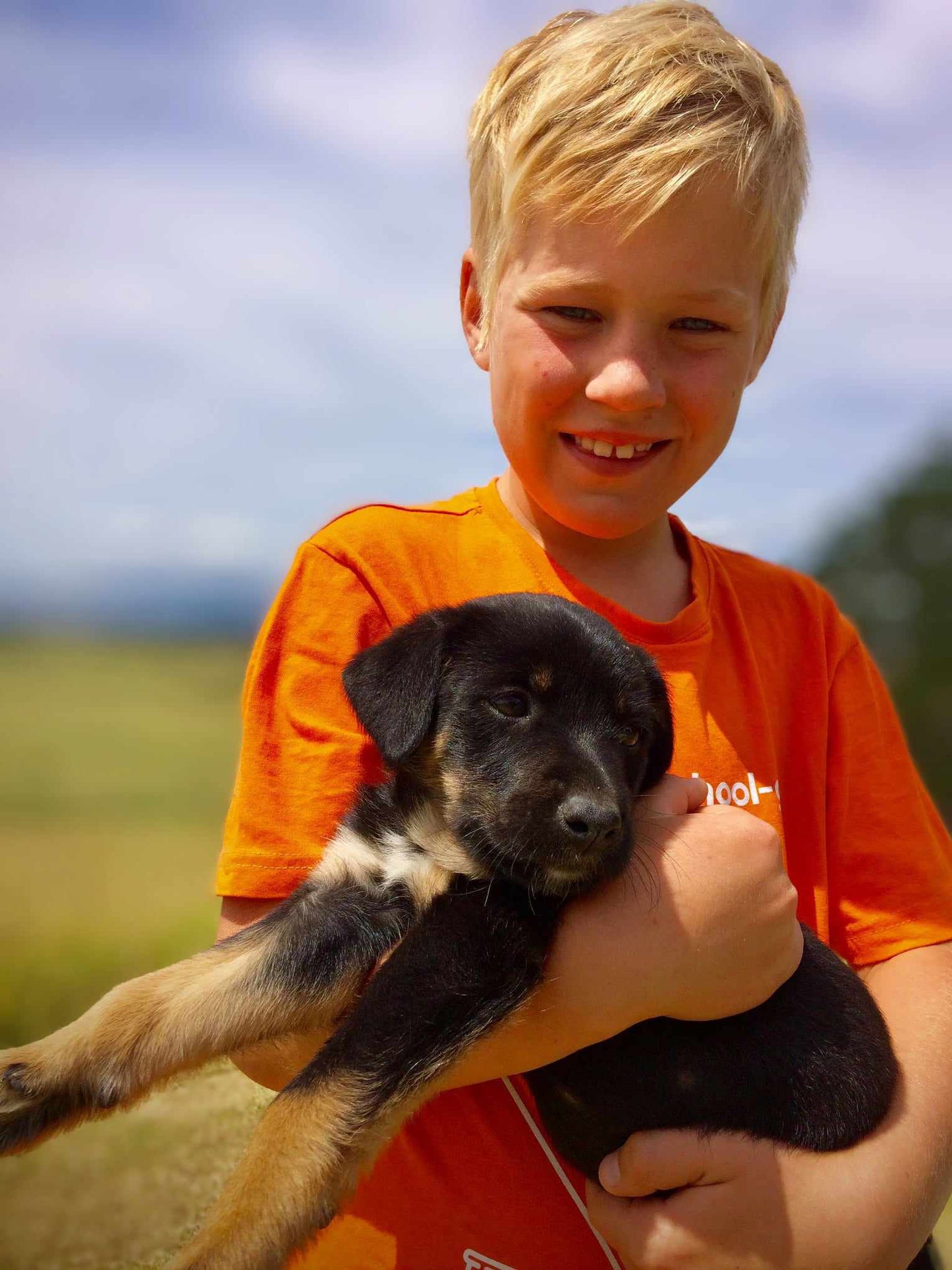 Puppy or Pet Dog First Aid Kit