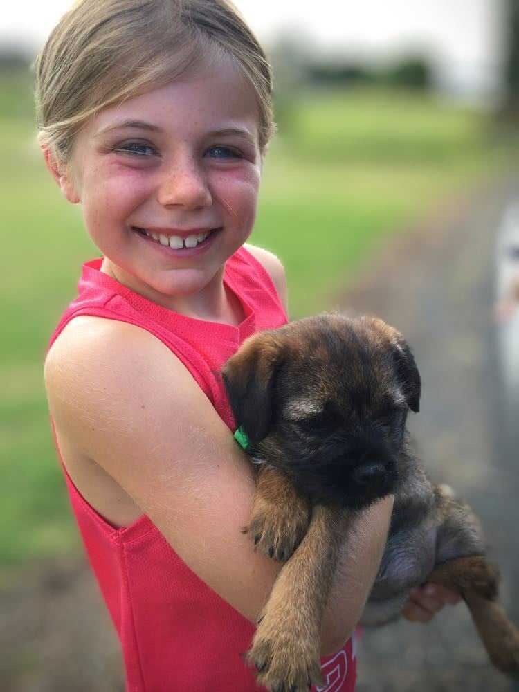 Puppy or Pet Dog First Aid Kit