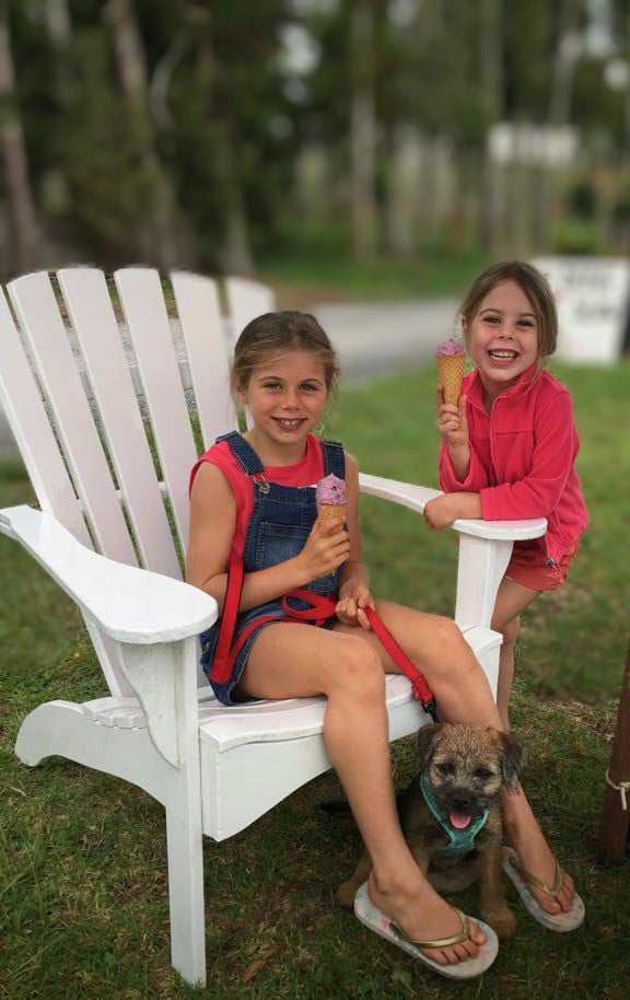 Puppy or Pet Dog First Aid Kit