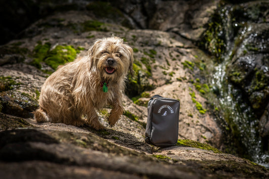 Pet Dog First Aid Kit