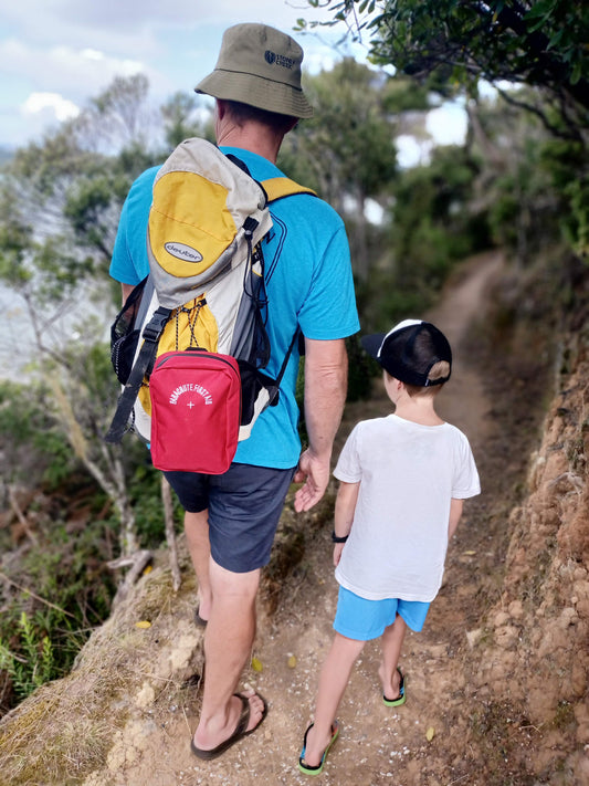 Why Should you Carry a First Aid Kit When Out with Your Children ?